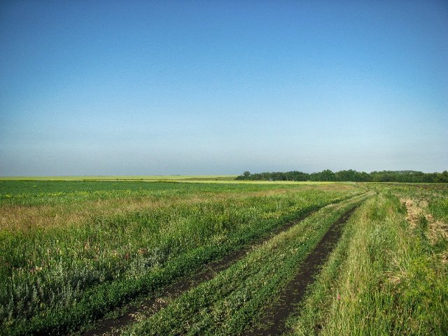 Безобидная с виду грунтовая дорога