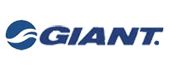 Компания GIANT-RUSSIA