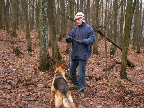 Forest Founder
