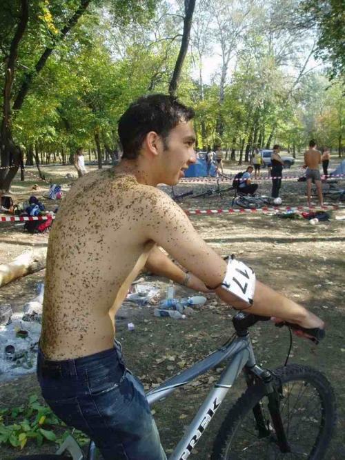 Без альбома
