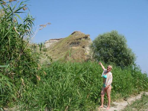 Волга 2006
