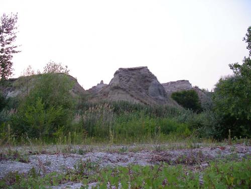 Волга 2006