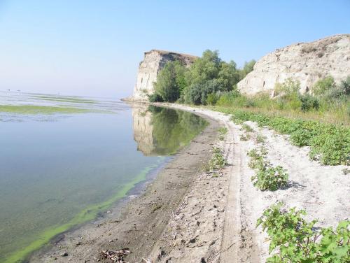Волга 2006