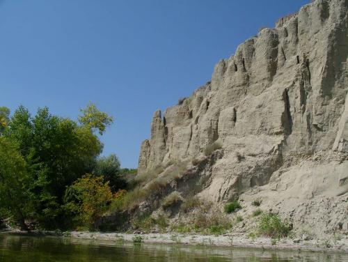 Волга 2006
