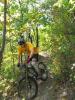 1170t.jpg